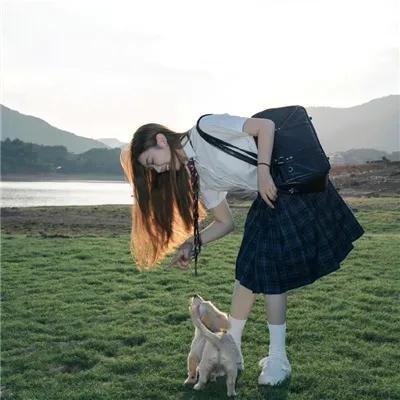 帝企鹅日记