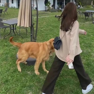 侠义英雄传